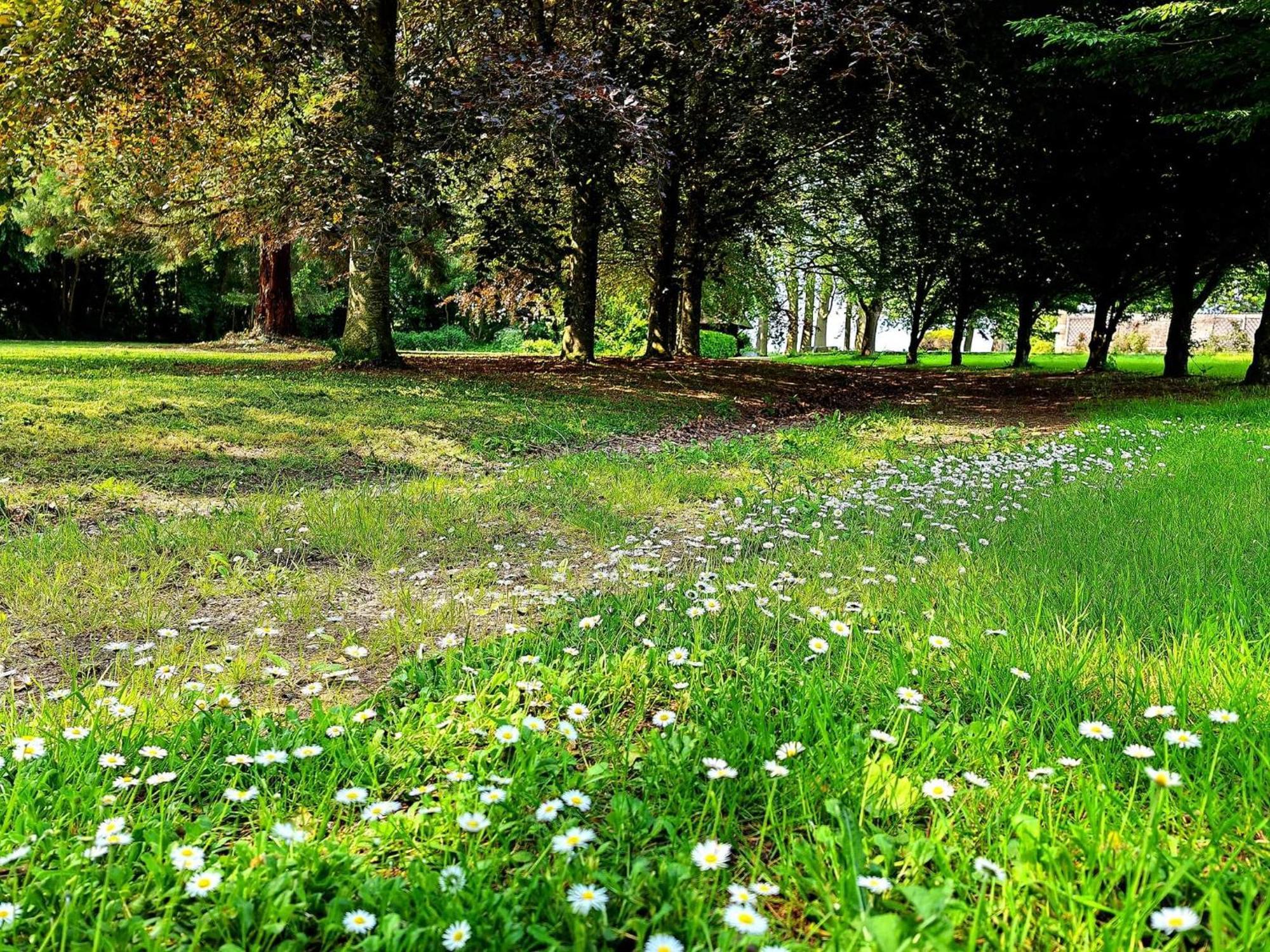 Domaine De L'Isle Maniere Apartment Saint-Quentin-sur-le-Homme Luaran gambar